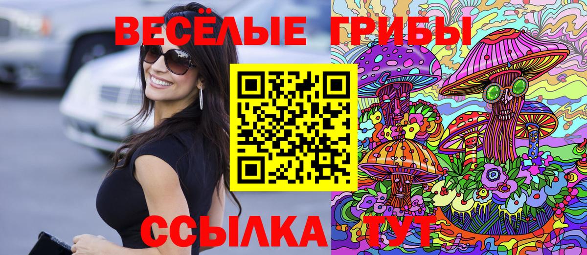 Кизляр  Псилоцибиновые грибы MAGIC MUSHROOMS  Галлюциногенные грибы мухоморы  Вход с VPN 
