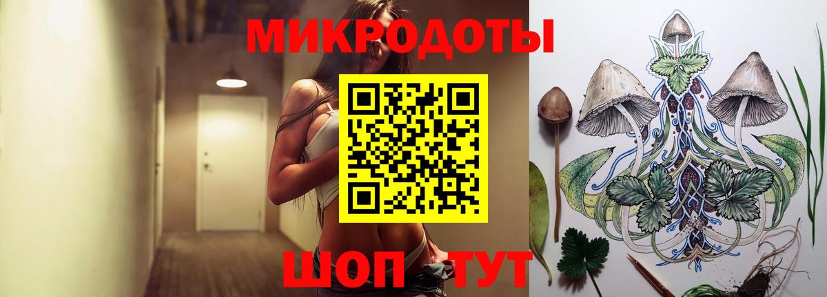 Псилоцибиновые грибы Psilocybe Кизляр